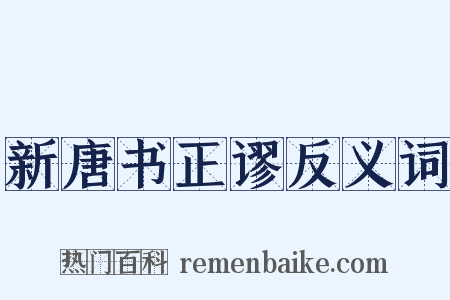 新唐书正谬反义词是什么意思的图片
